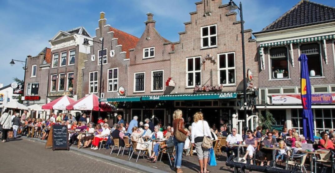 Huisje Britt Met Grote Tuin En Veel Privacy Dirkshorn Zewnętrze zdjęcie