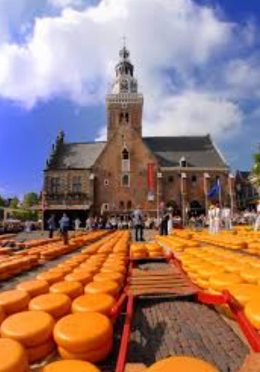 Huisje Britt Met Grote Tuin En Veel Privacy Dirkshorn Zewnętrze zdjęcie