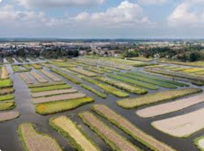 Huisje Britt Met Grote Tuin En Veel Privacy Dirkshorn Zewnętrze zdjęcie